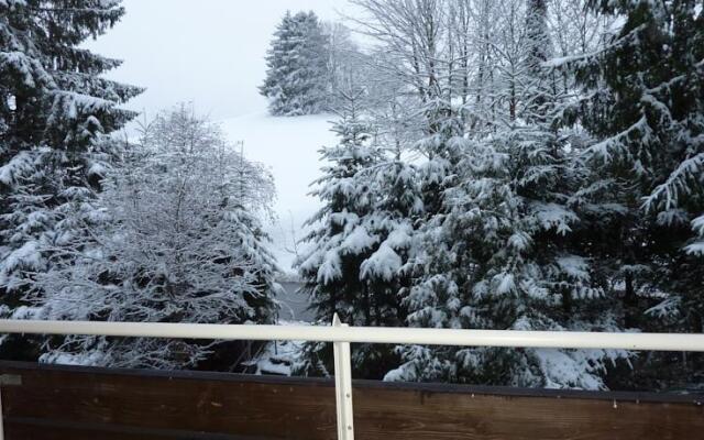 Apartment 39 Schönwald