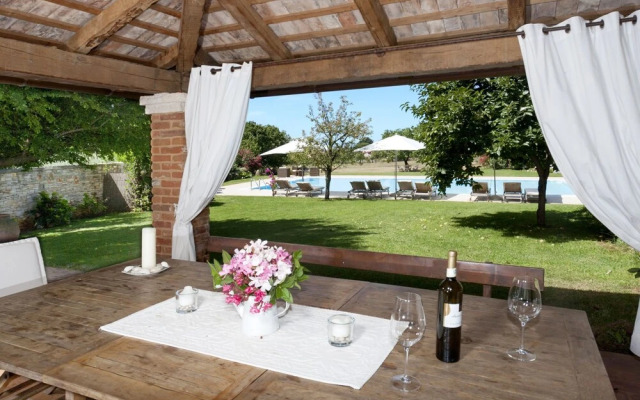 Hibiskus Tadini in Tadini