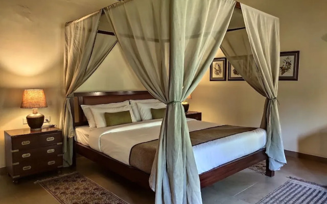 Bagh Tola - Bandhavgarh