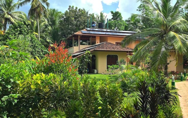 King Coconut Lodge