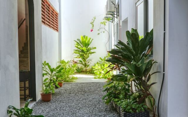 Island Ambience