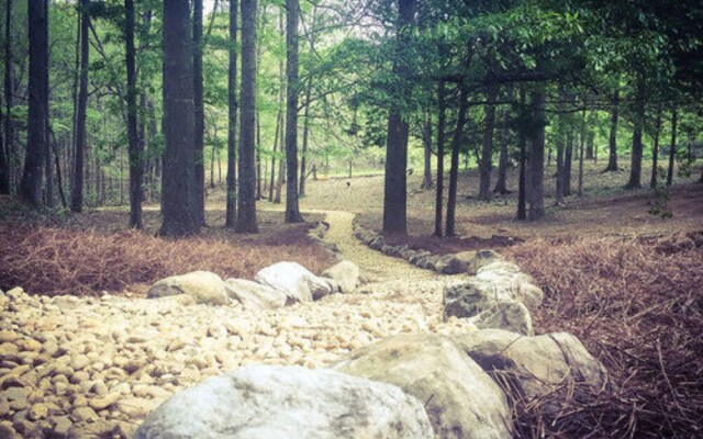 Serenity Pointe Bed and Breakfast