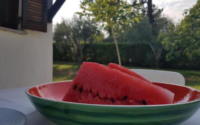 Konstantinos's luxury residence Sani