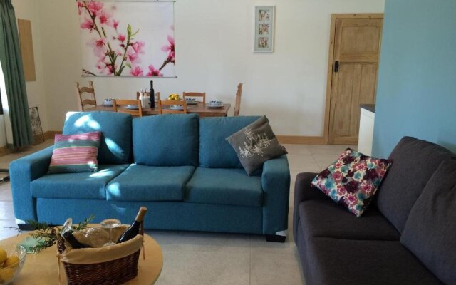 The Grape and Olive at Willunga