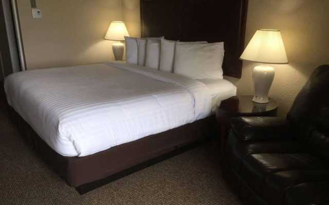 The Beach Haus Resort