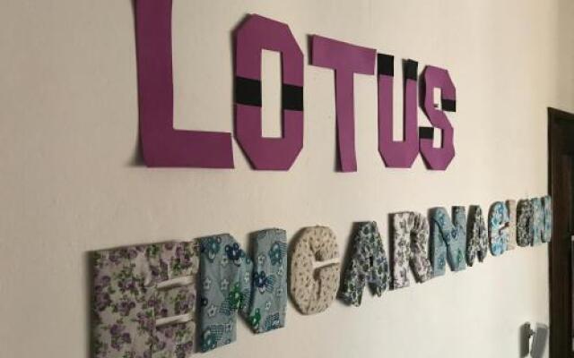 Lotus Hostal