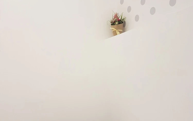 Apartamento Salitre 2 - Lavapiés