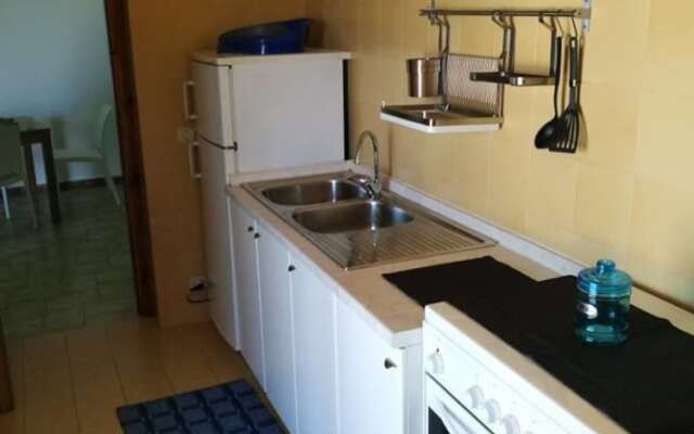 Home-holidays Sea-life