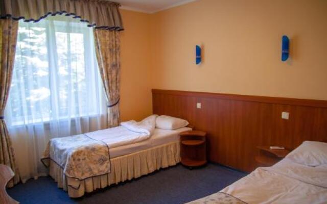 Babushkin Sad Hotel