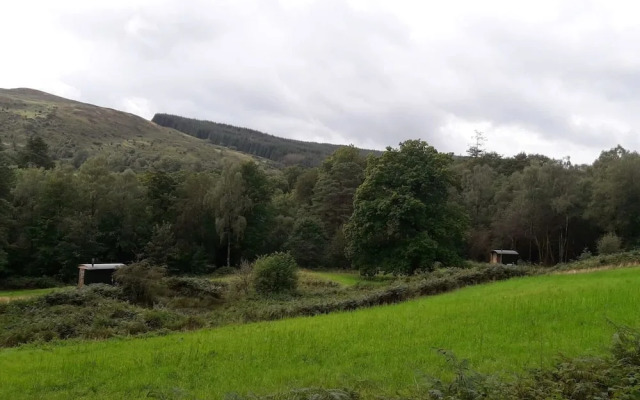 Cosy Woodland off Grid Shepherds Hut - Hazel