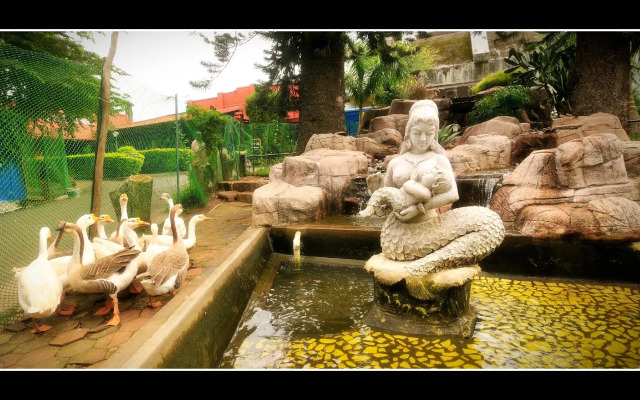 Hotel Shevaroys