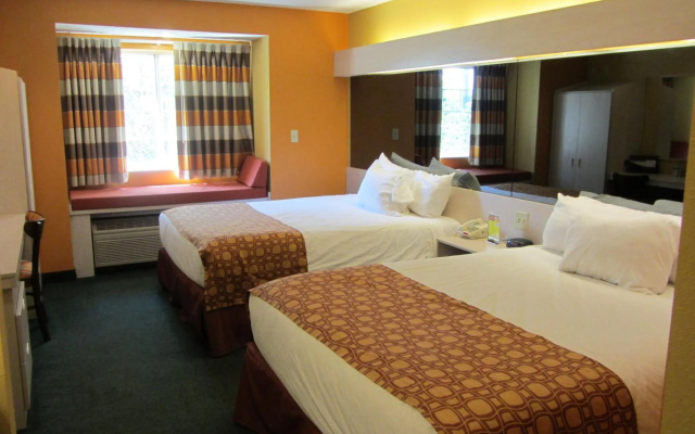 Microtel Inn & Suites by Wyndham Amarillo