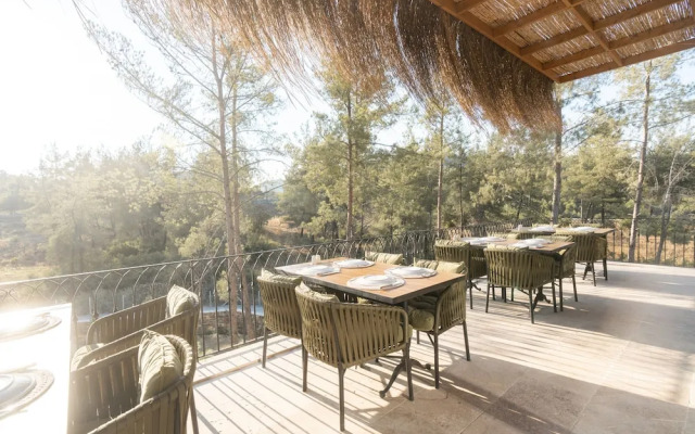 Izz Getaway – Adults Only