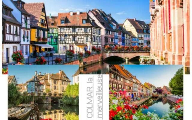 Colmar-Famille & Pro-3 chambres - 8 pers-Wifi-clim