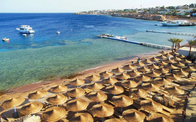 Sharks Bay Oasis