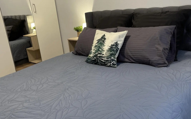 Апартаменты на проспекте Большой Сампсониевский 70/3