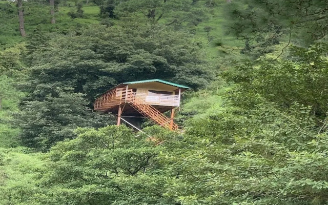 The Cocoon Camps & Nature Resorts