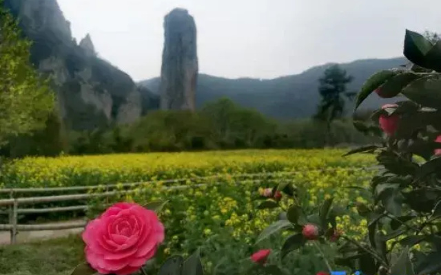 Moye Suixin Homestay