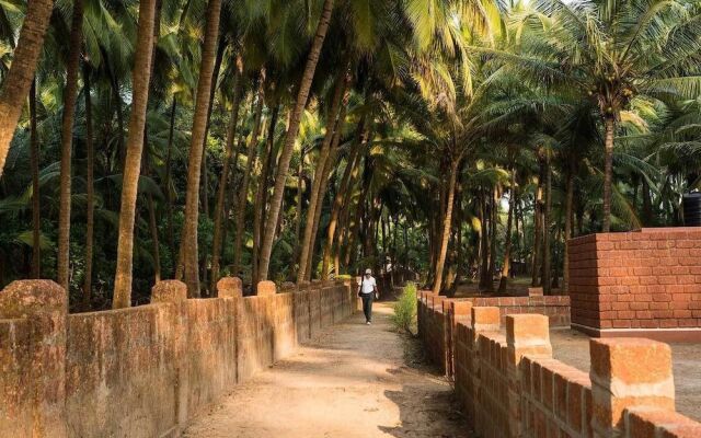 Mango Village Resort
