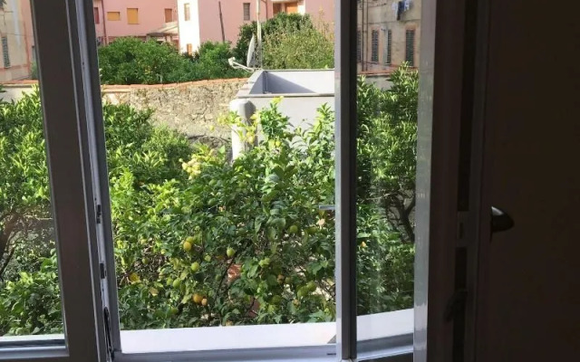 Artana Suites Collection