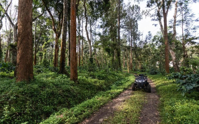 Tusker Trail