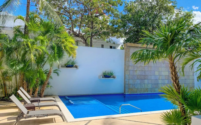 Oasis 12