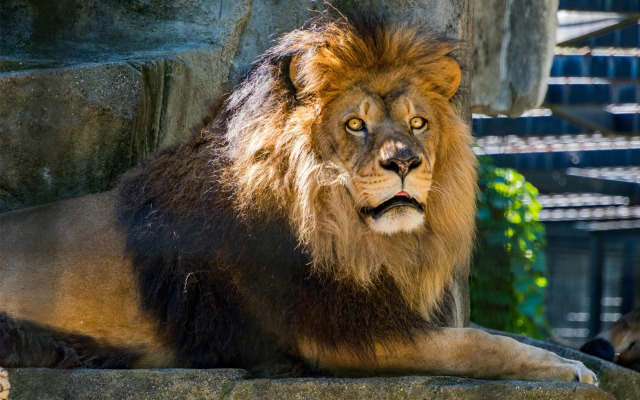 Radisson Blu Hotel Sandton