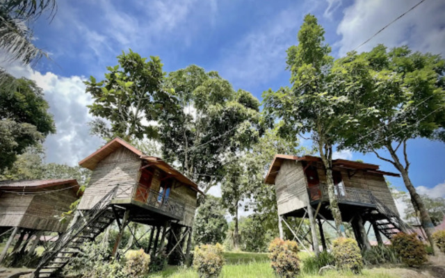 Mifan Water Park & Resort