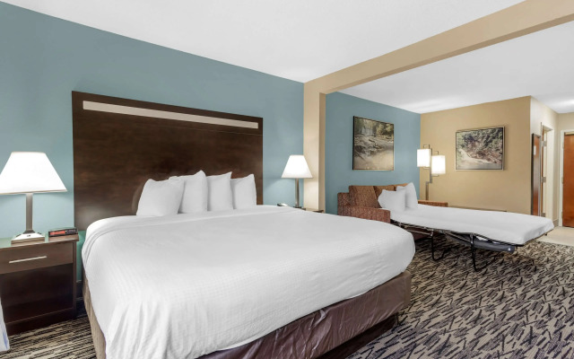 Best Western Plus McDonough Inn & Suites