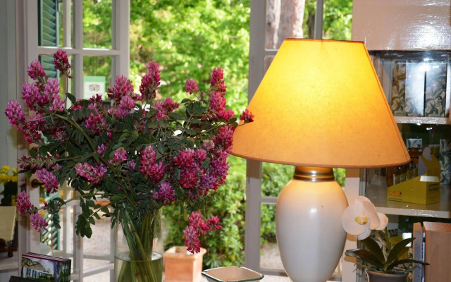 Villa Terme Di Caldana B&B