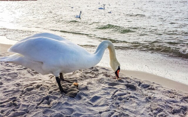 Nice Apartment in Kolobrzeg With 2 Bedrooms