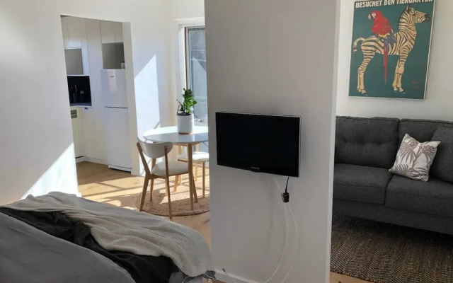 Sun-drenched 1 Bed Studio Apartment In Newtown