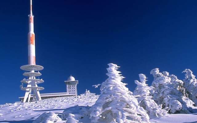 2 am Lustgarten Modern Retreat