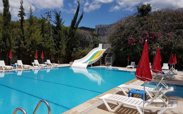 Silver Pine Hotel
