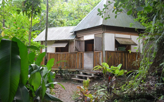 Roots Jungle Retreat