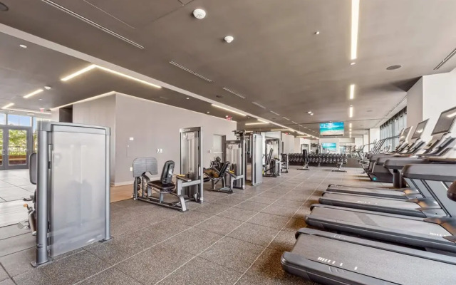 Prime Downtown Location Condos