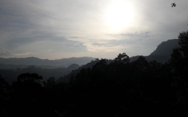 The Onex Paradise Ella