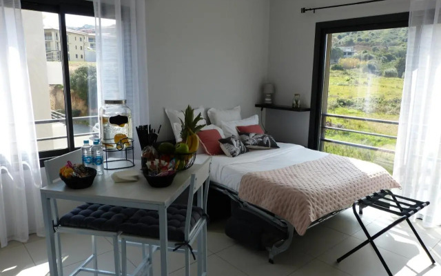 Grand & beau studio climatisé vue sur mer