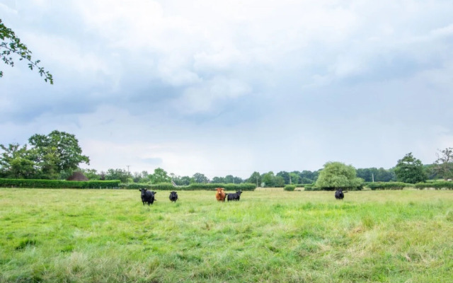 The Milking Parlour