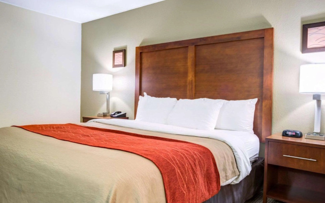 Comfort Inn & Suites Clemson - University Area