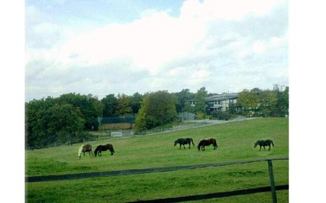 Dreikausens Landgasthaus Wildhof