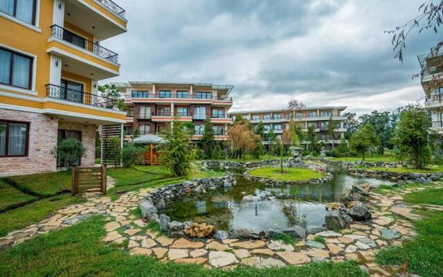 Dreamland Oasis of happiness