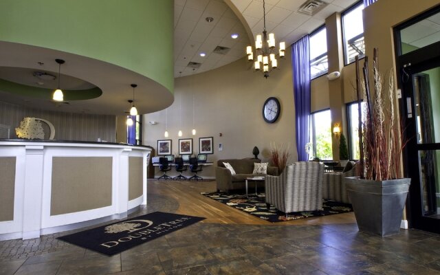 Indigo Buffalo - Amherst