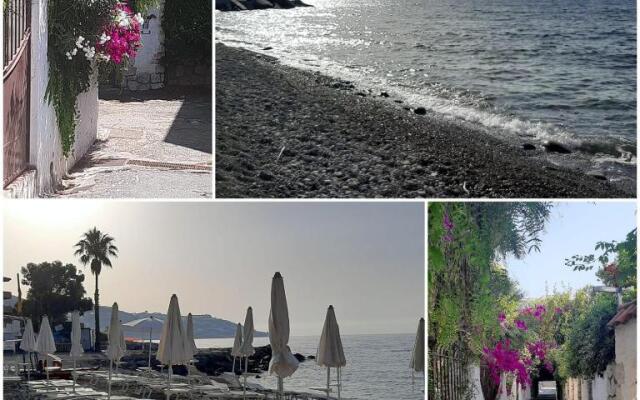 ALMAREDASEDY1-Appartamento 50m dalla spiaggia con posto auto