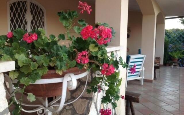 Il Glicine di Carmen