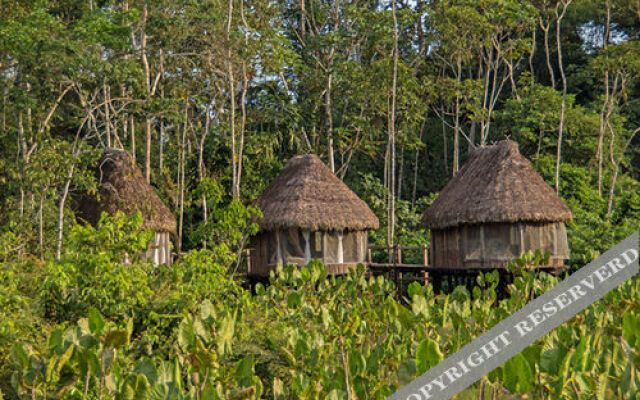 Kapawi Ecolodge & Reserve