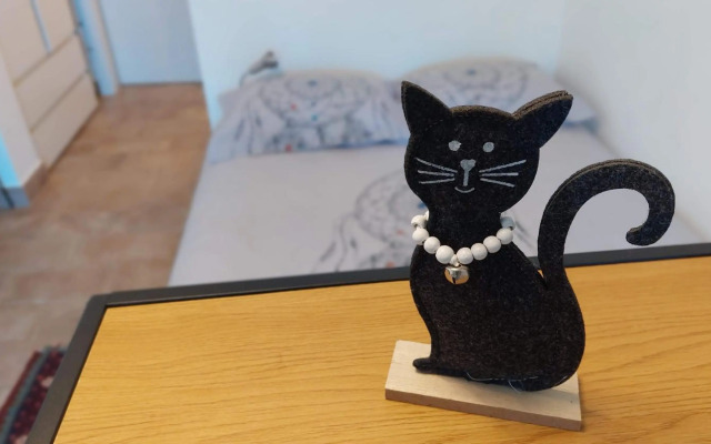 Pri piratski mački - At the pirate cat - Dal gatto pirata