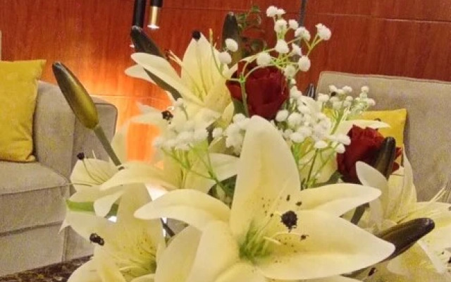 Afaq Suite Al- Shamisi - افاق سويت الشميسى