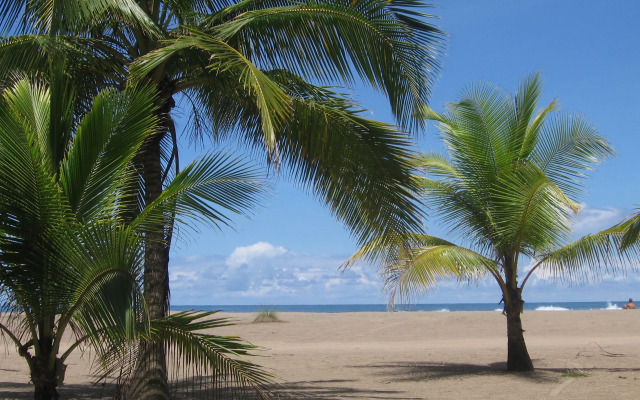 Hotel Pochote Grande