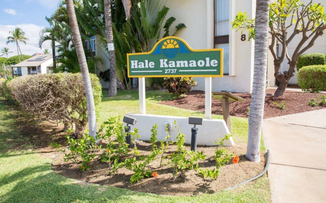 Hale Kamaole #163 - 1 Br Condo